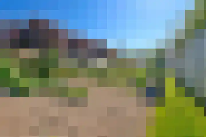 De Ruigehoek 26 A Burgerveen thumbnail 31