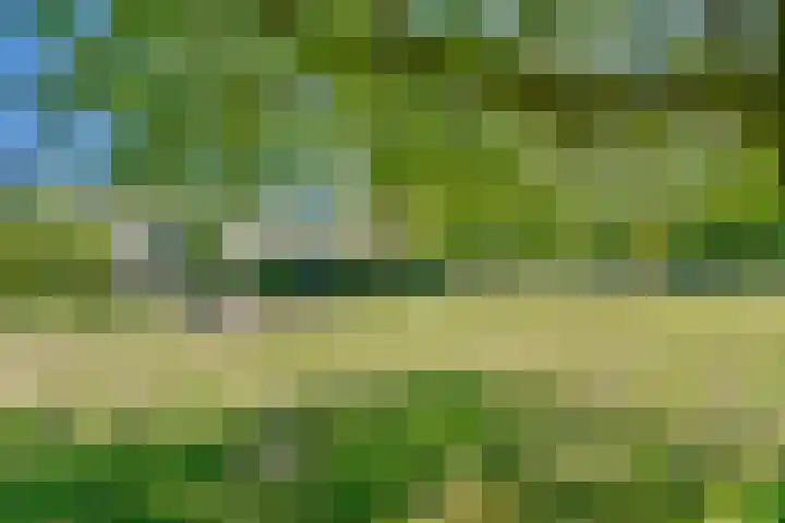 De Ruigehoek 26 A Burgerveen thumbnail 32
