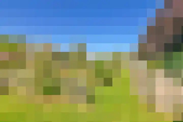 De Ruigehoek 26 A Burgerveen thumbnail 4