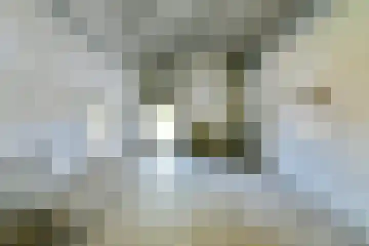 De Ruigehoek 26 A Burgerveen thumbnail 5