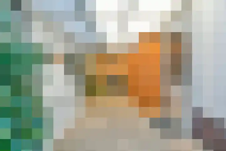 De Ruigehoek 26 A Burgerveen thumbnail 8
