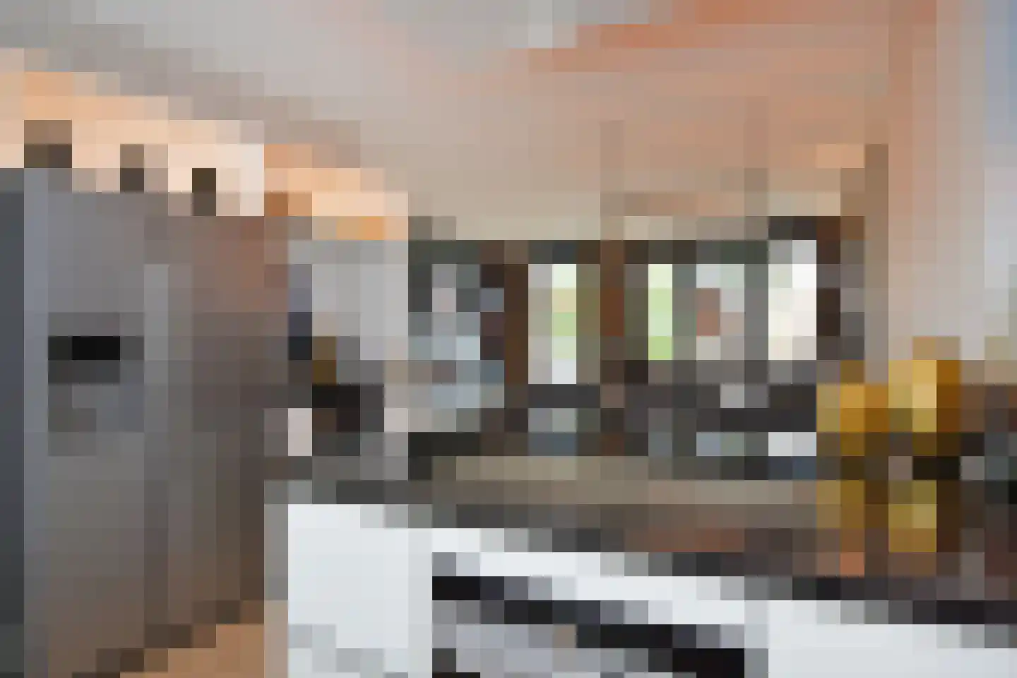 De Ruijt 49 Rijswijk thumbnail 26
