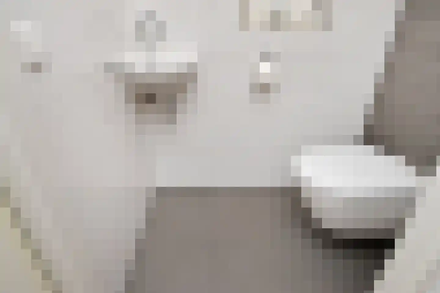 De Ruijt 49 Rijswijk thumbnail 30