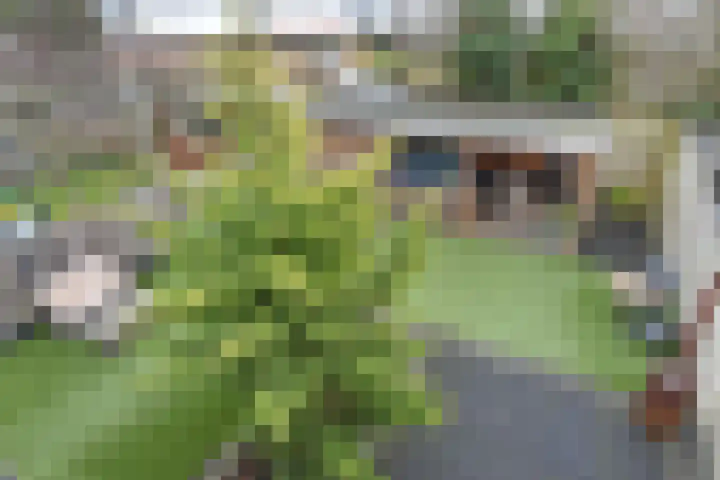 De Ruijt 49 Rijswijk thumbnail 40