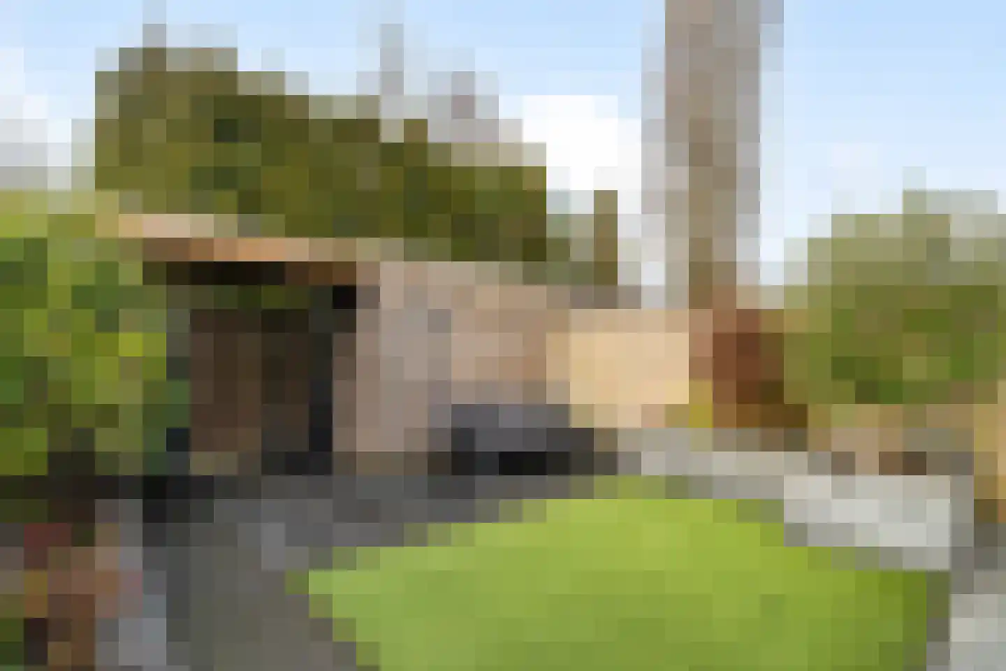 De Ruijt 60 Rijswijk thumbnail 19