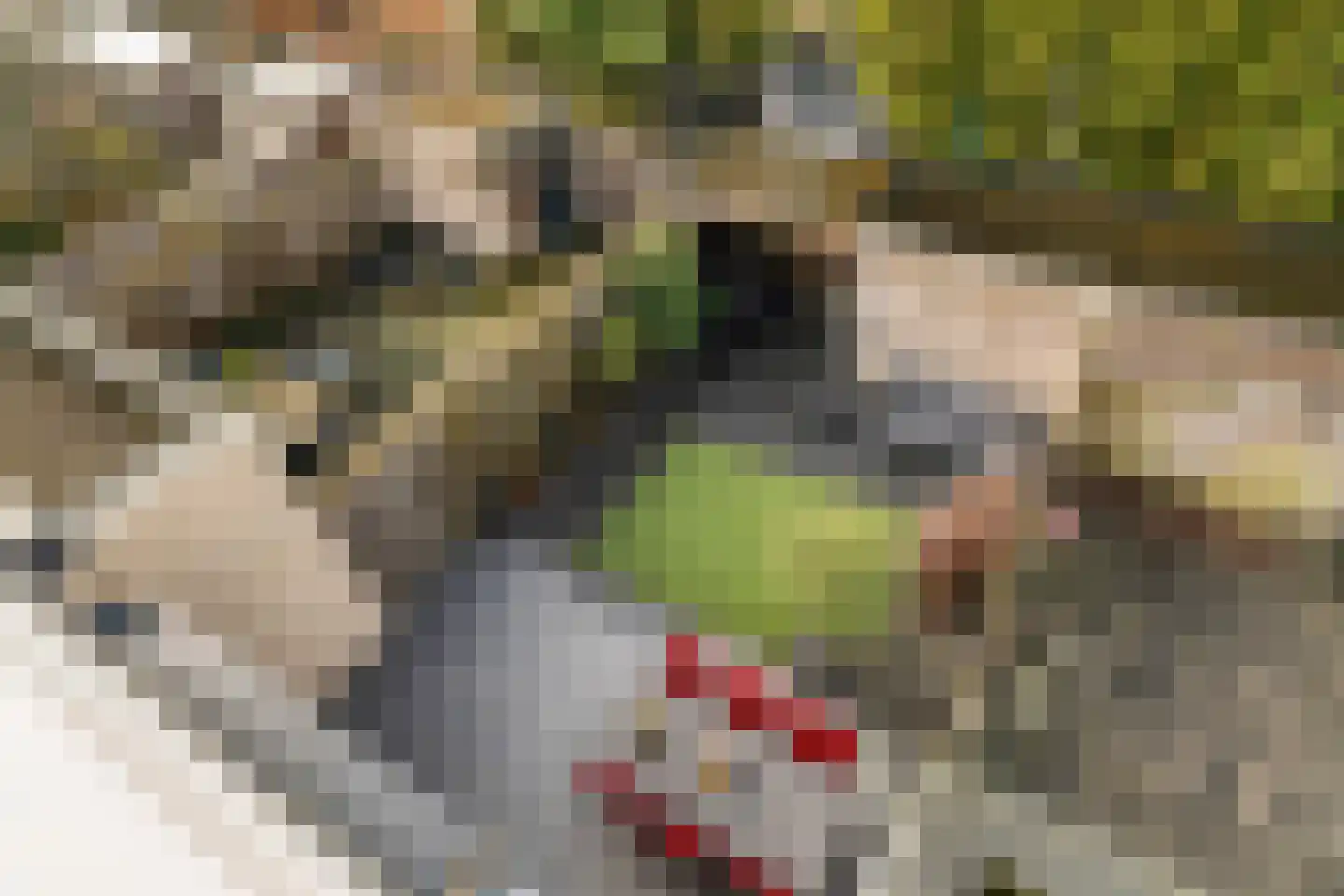 De Ruijt 60 Rijswijk thumbnail 40