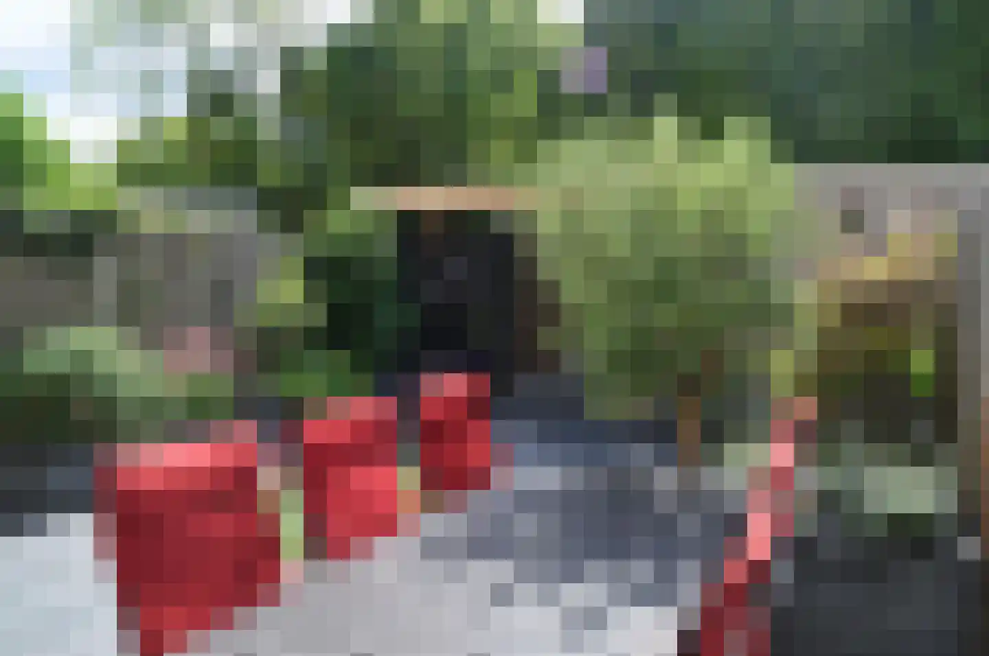 De Ruijt 60 Rijswijk thumbnail 44