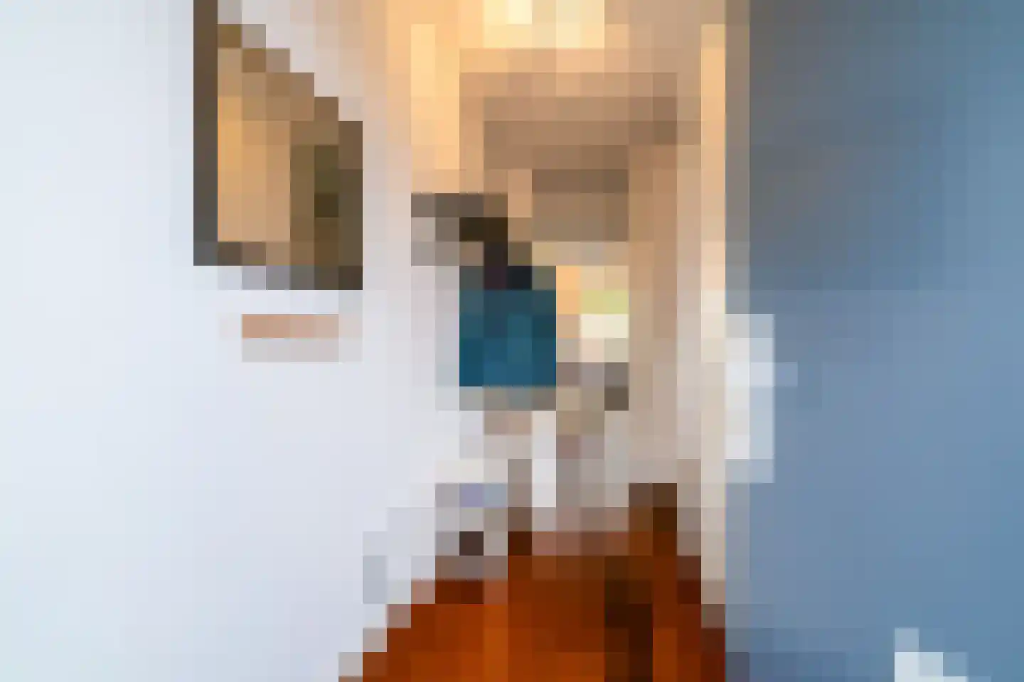 De Ruijt 60 Rijswijk thumbnail 7