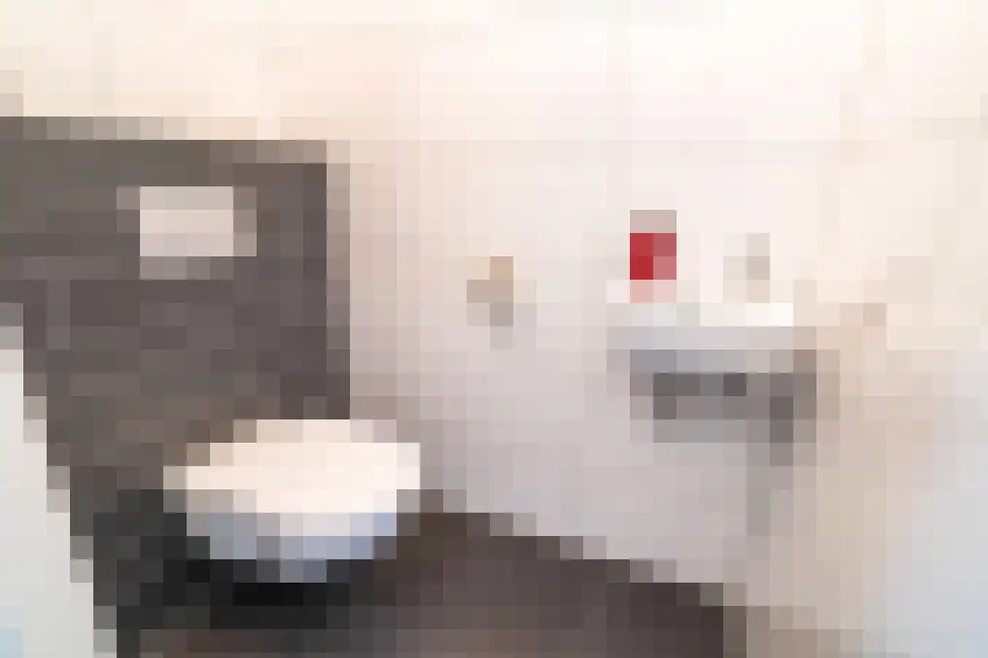 De Ruijt 60 Rijswijk thumbnail 8