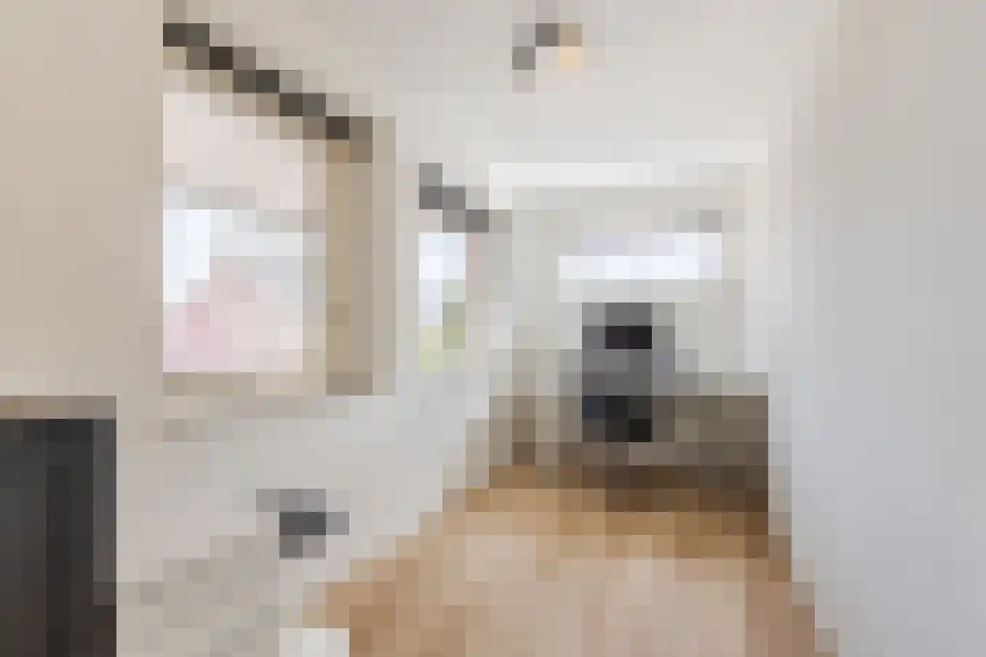 De Ruijtbaan 8 Poeldijk thumbnail 24