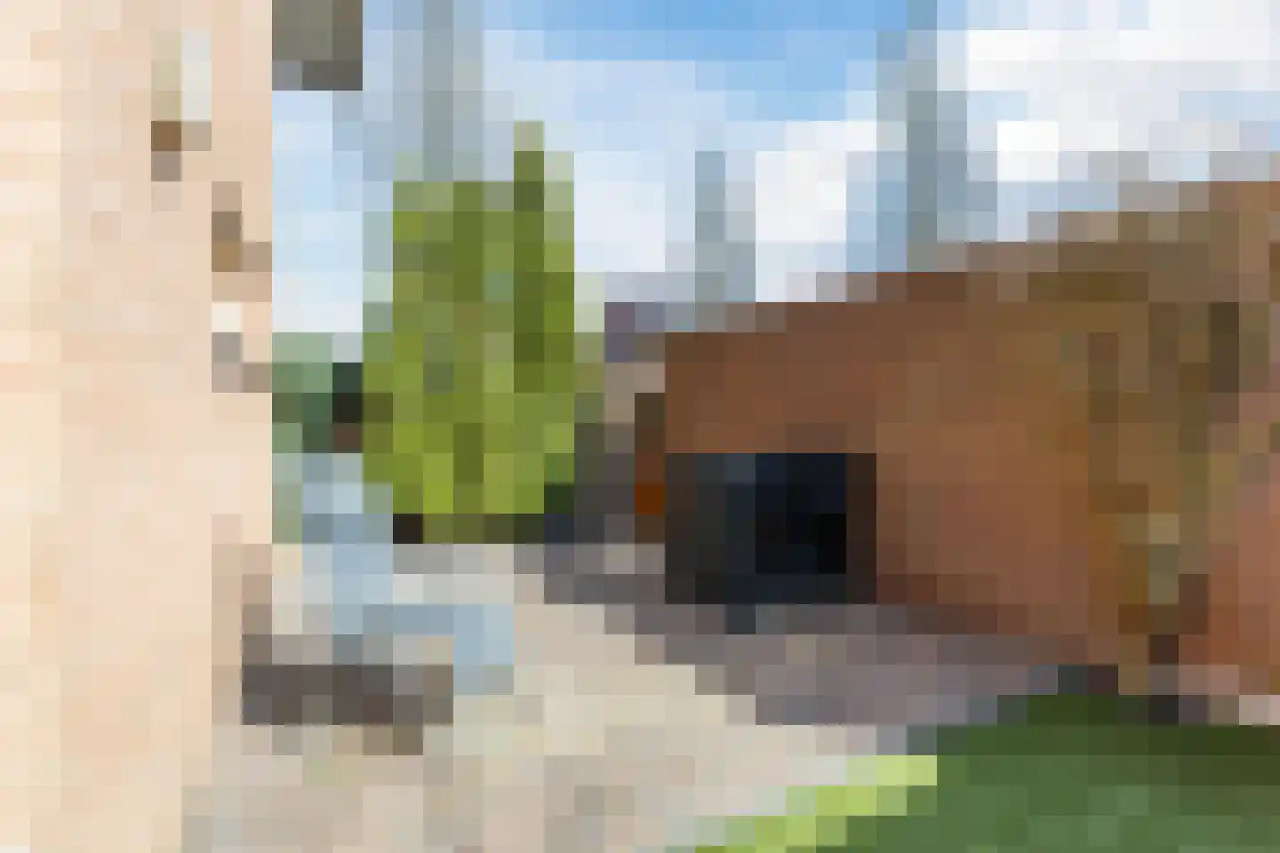 De Ruijtbaan 8 Poeldijk foto 3