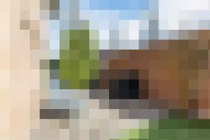 De Ruijtbaan 8 Poeldijk thumbnail 34