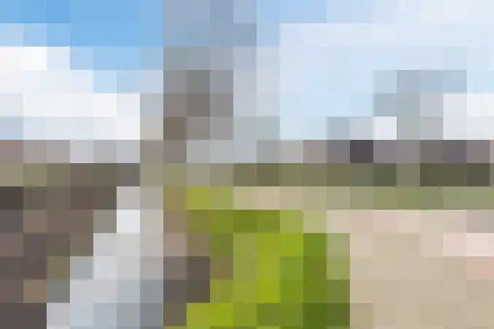 De Ruijtbaan 8 Poeldijk thumbnail 44