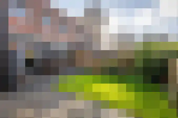 de Ruijterkade 25 Wormerveer thumbnail 9