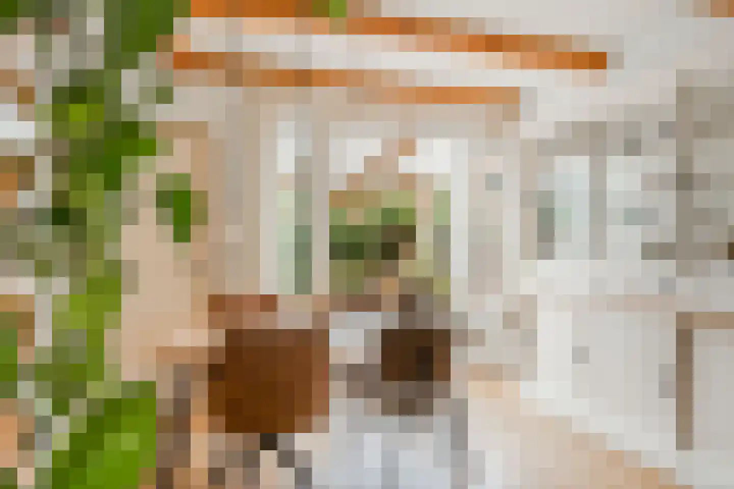 de Ruijterkade 28 Wormerveer thumbnail 10