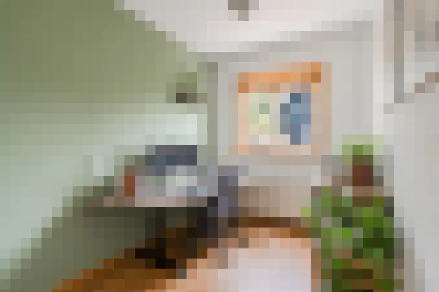 de Ruijterkade 28 Wormerveer thumbnail 18