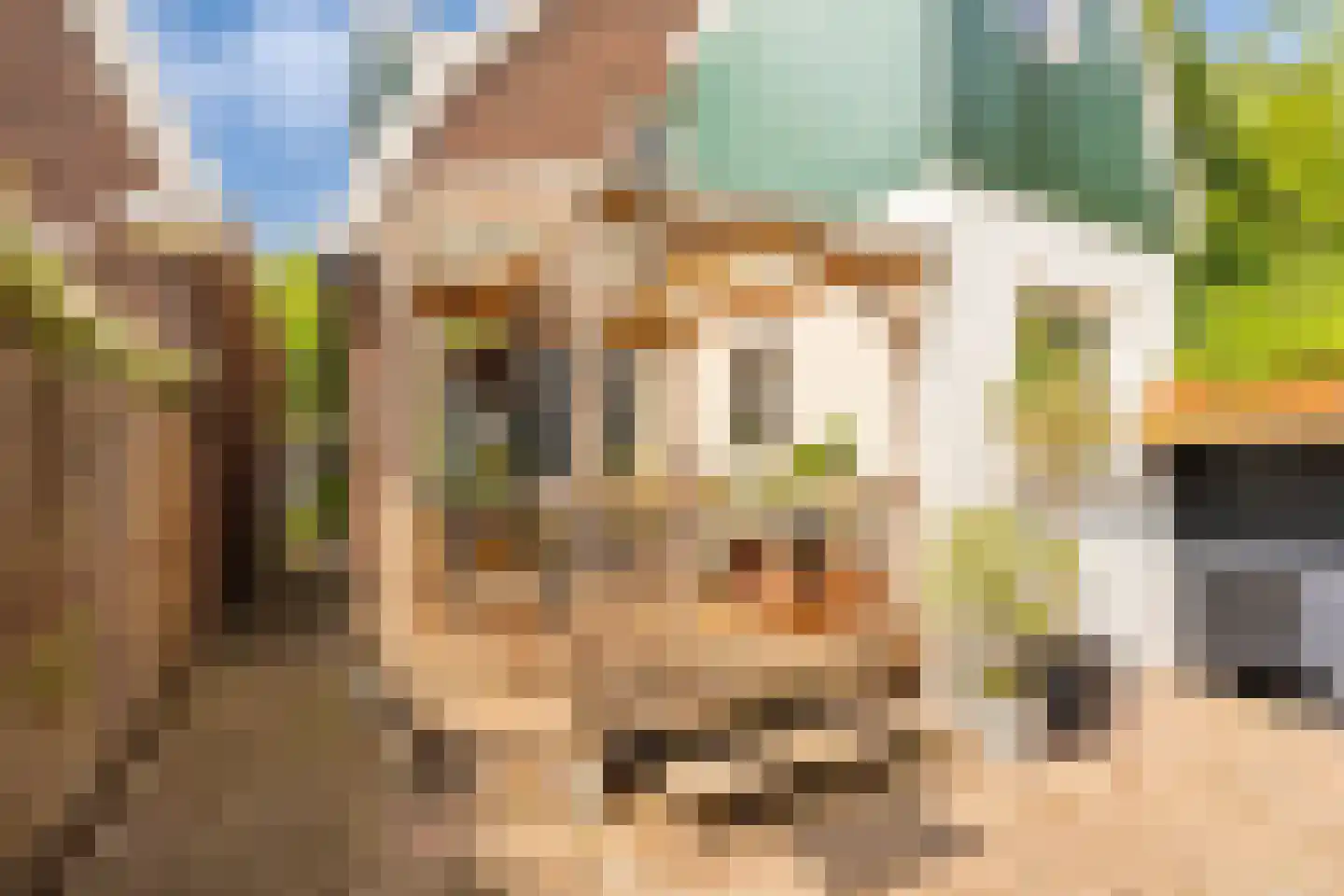 de Ruijterkade 28 Wormerveer thumbnail 27