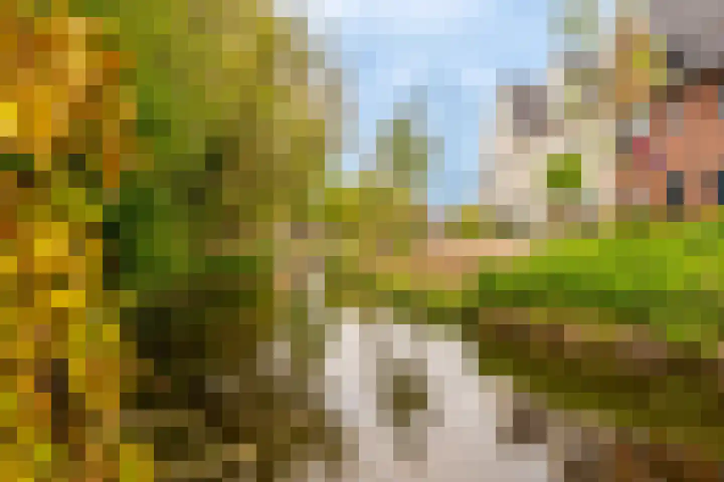 de Ruijterkade 28 Wormerveer thumbnail 35