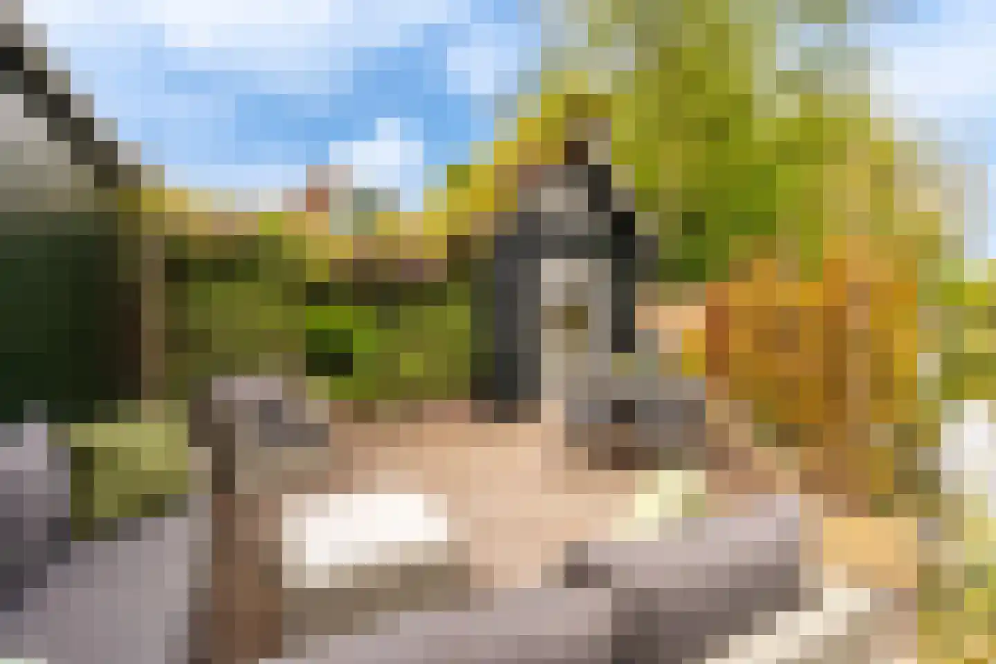 de Ruijterkade 28 Wormerveer thumbnail 36