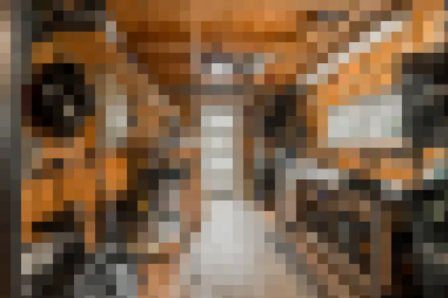 de Ruijterkade 28 Wormerveer thumbnail 40