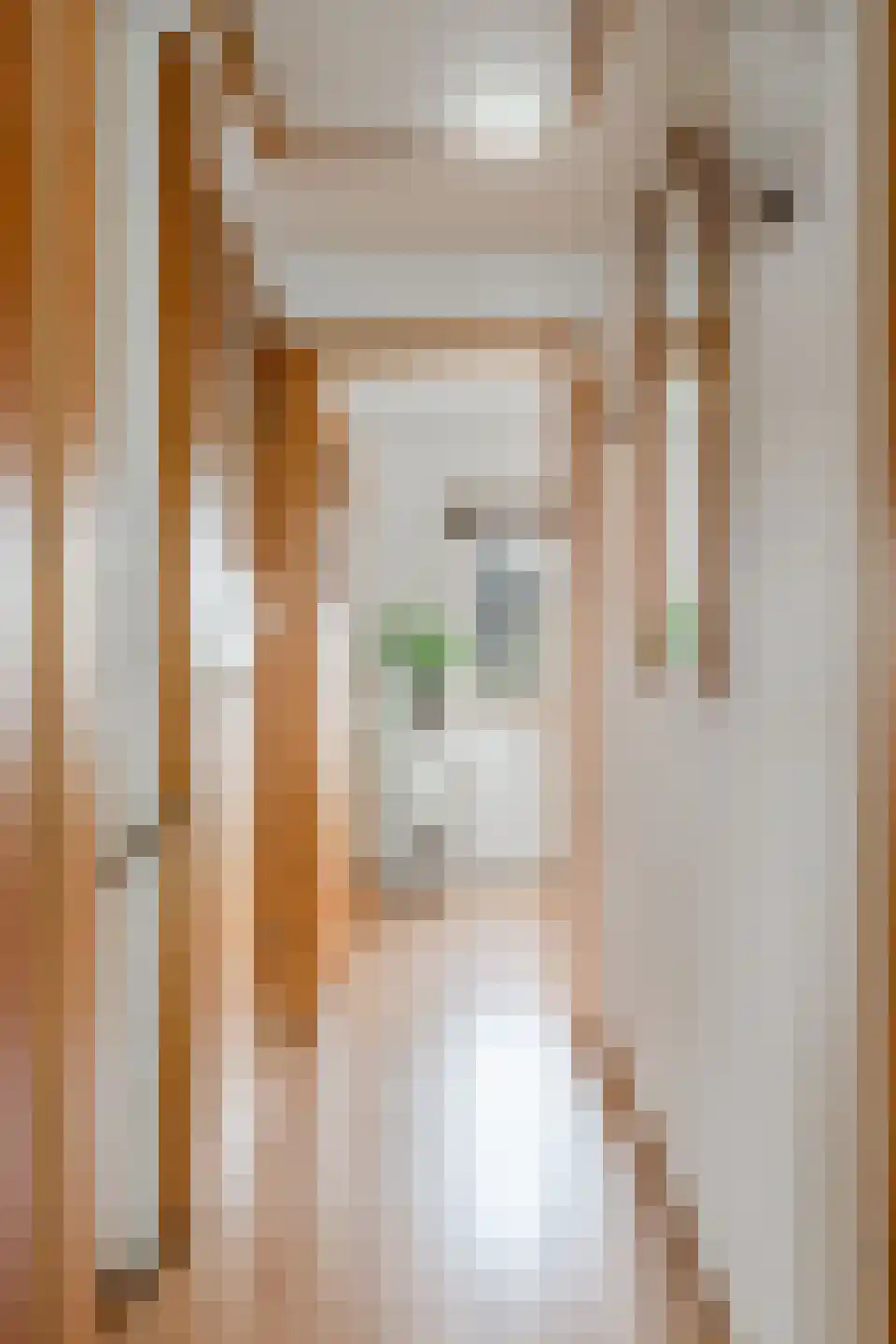 de Ruijterkade 28 Wormerveer thumbnail 47