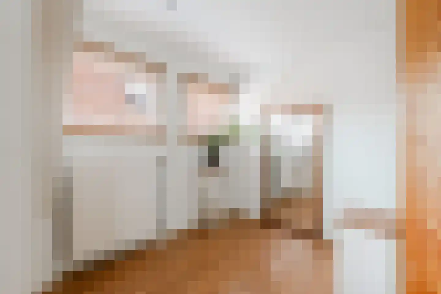 de Ruijterkade 28 Wormerveer thumbnail 49