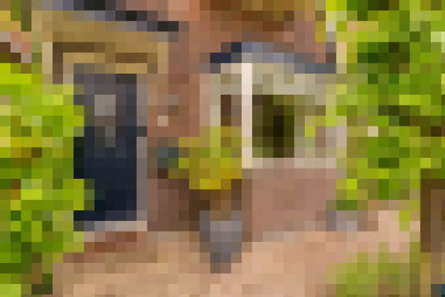 de Ruijterkade 28 Wormerveer thumbnail 5
