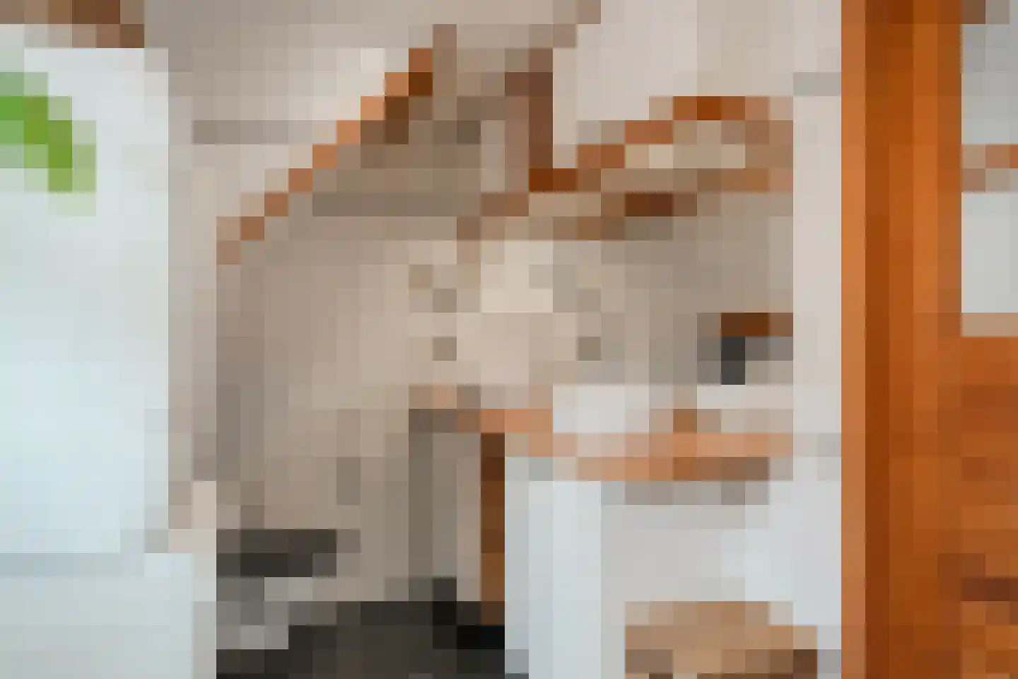 de Ruijterkade 28 Wormerveer thumbnail 50