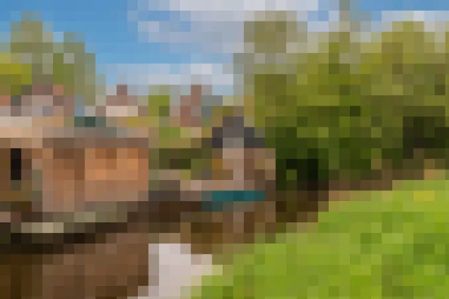de Ruijterkade 28 Wormerveer thumbnail 62