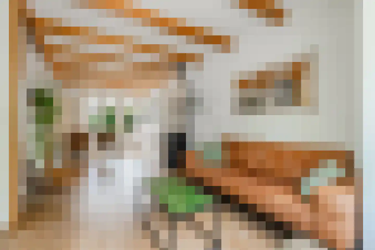 de Ruijterkade 28 Wormerveer thumbnail 7