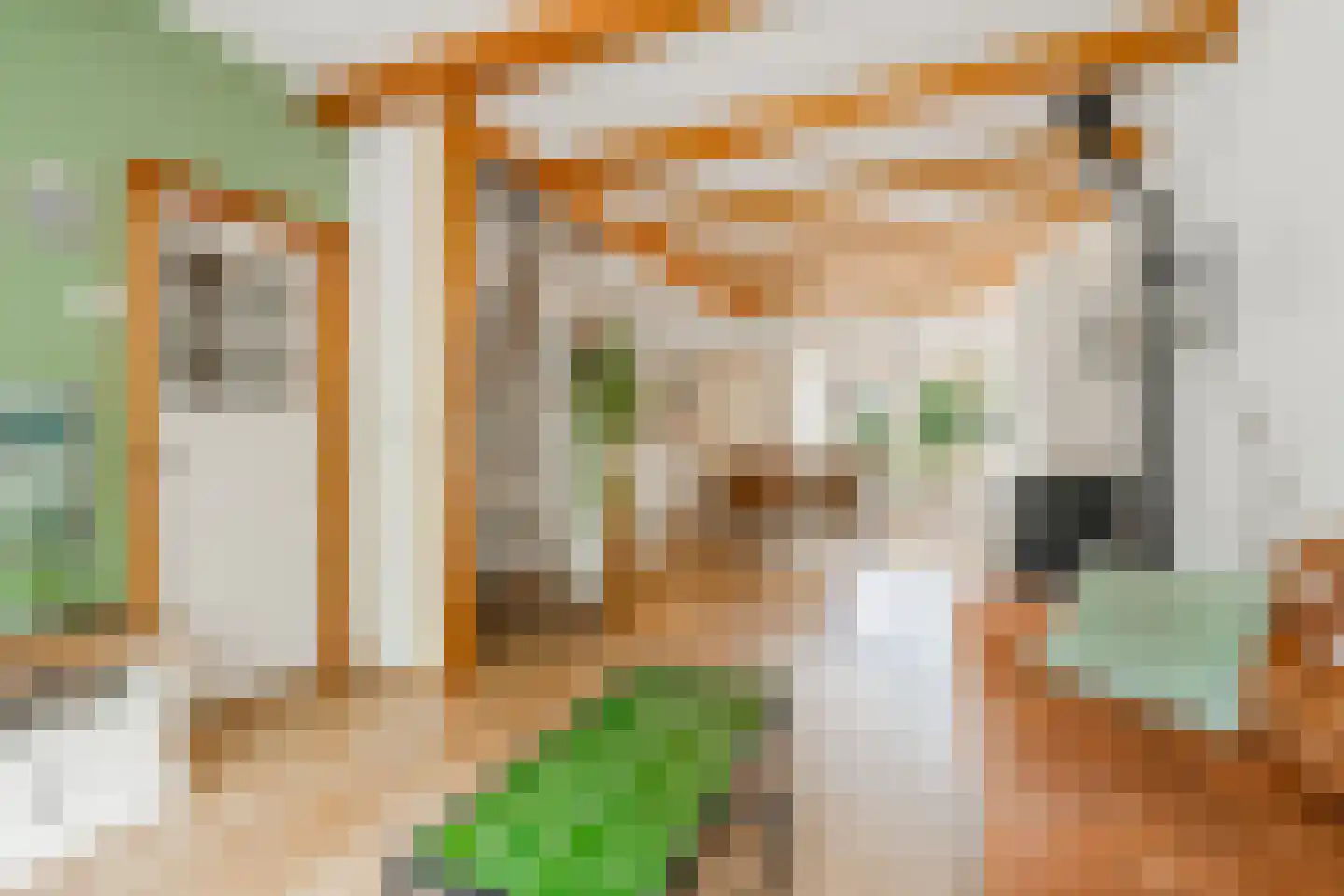 de Ruijterkade 28 Wormerveer thumbnail 9