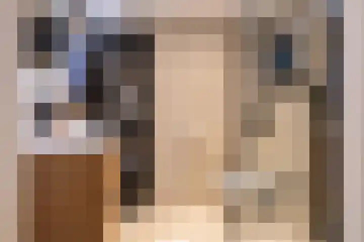 de Ruijterkade 30 Wormerveer thumbnail 20