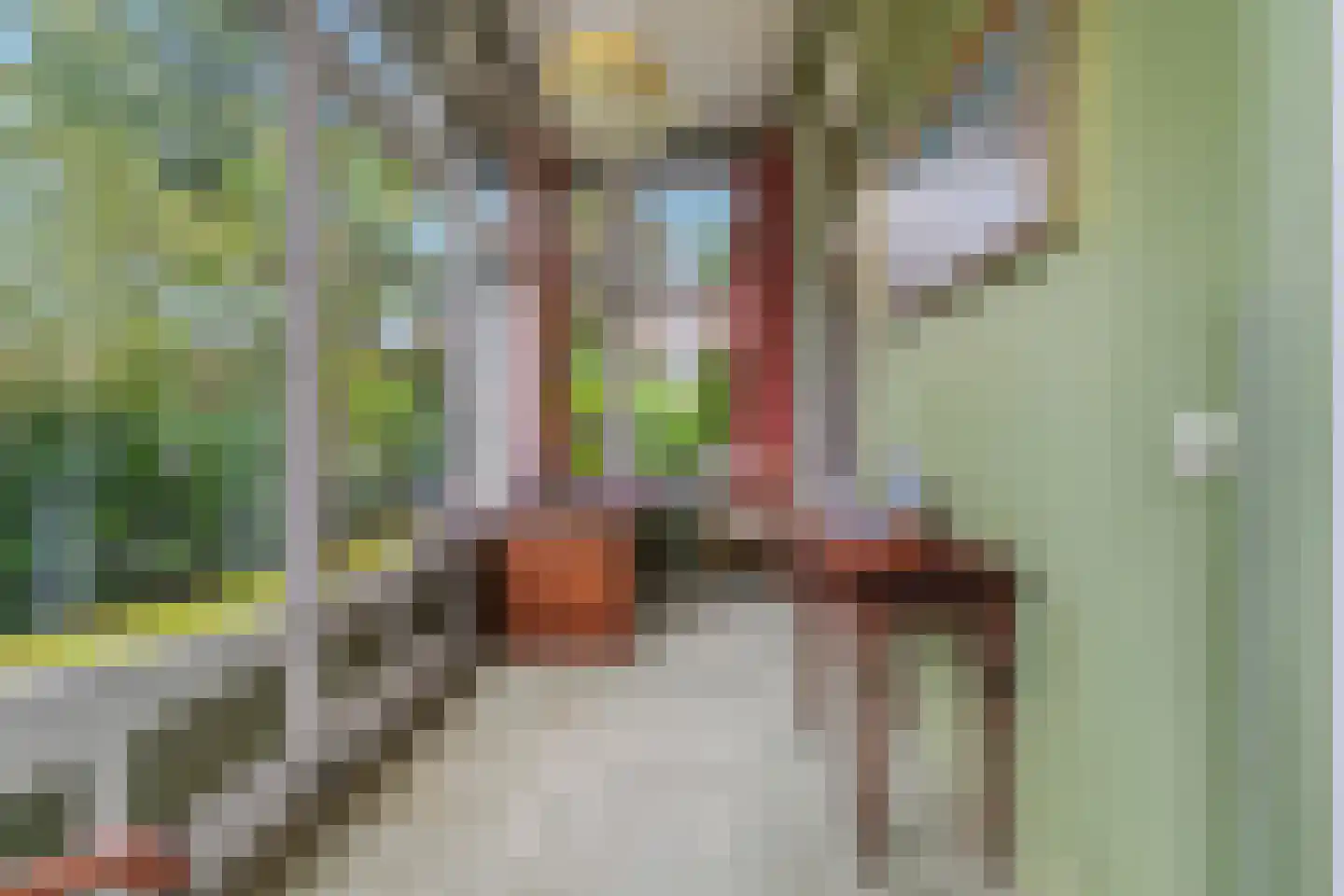 de Ruijterlaan 16 Velp thumbnail 19