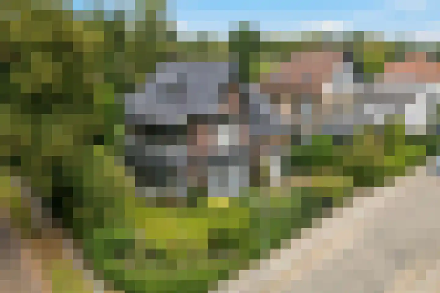 de Ruijterlaan 16 Velp foto 2