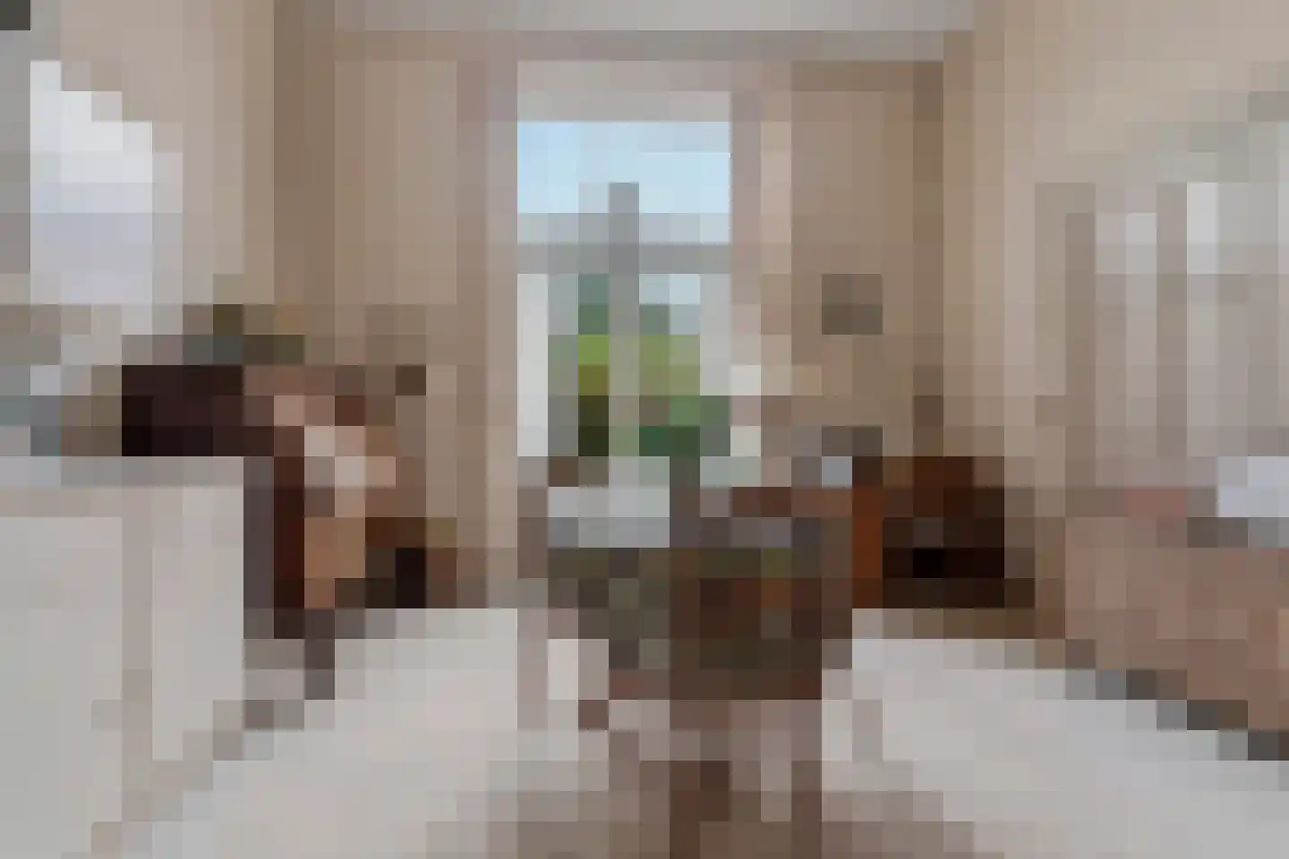 de Ruijterlaan 16 Velp thumbnail 20