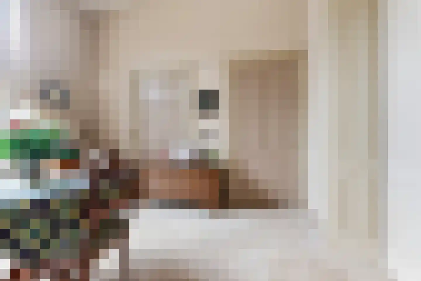 de Ruijterlaan 16 Velp thumbnail 22