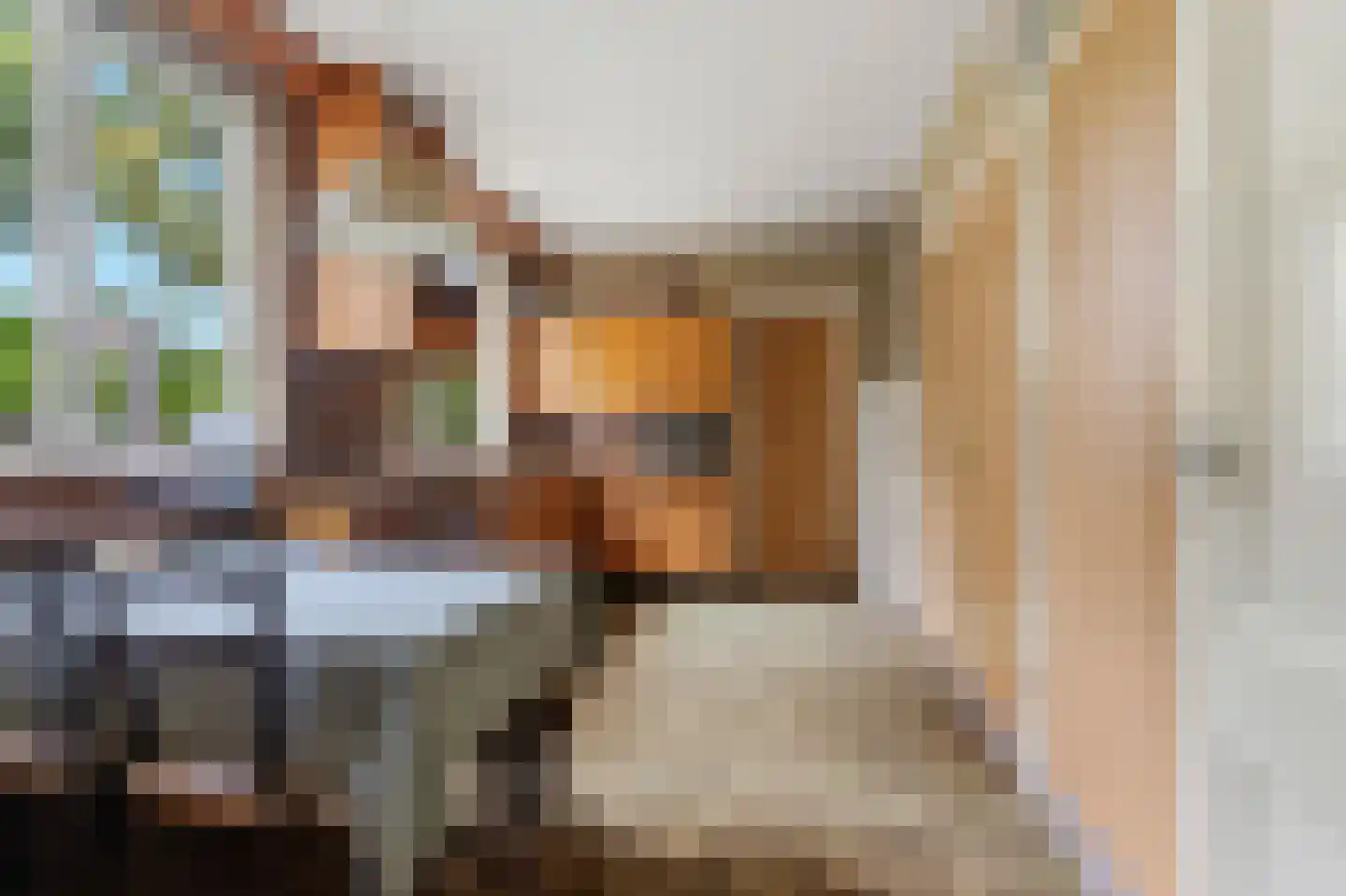 de Ruijterlaan 16 Velp thumbnail 23