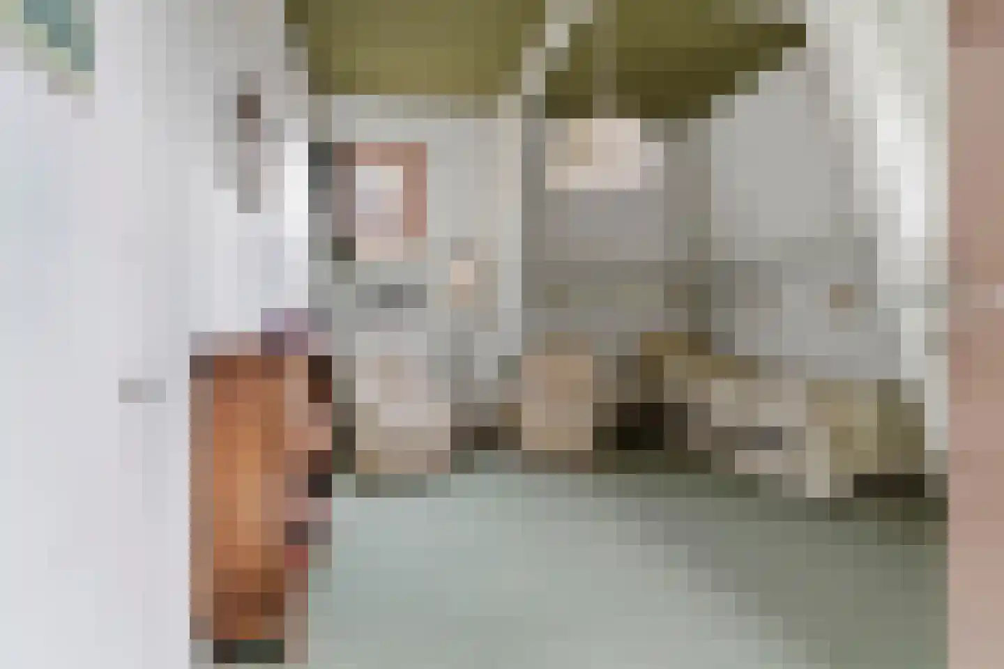 de Ruijterlaan 16 Velp thumbnail 36