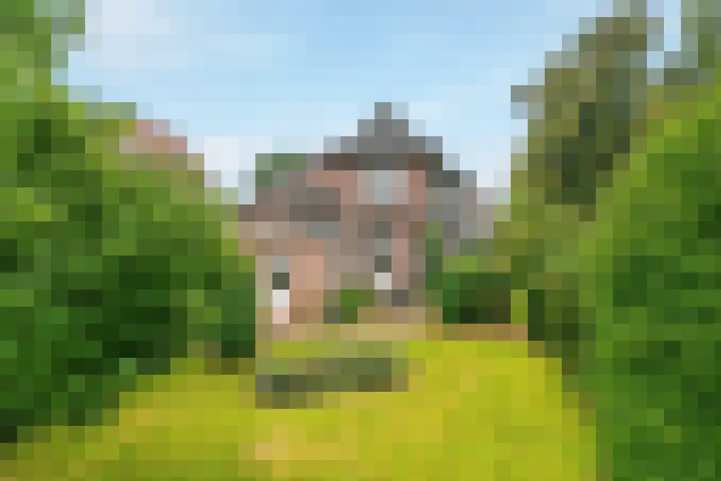 de Ruijterlaan 16 Velp thumbnail 44