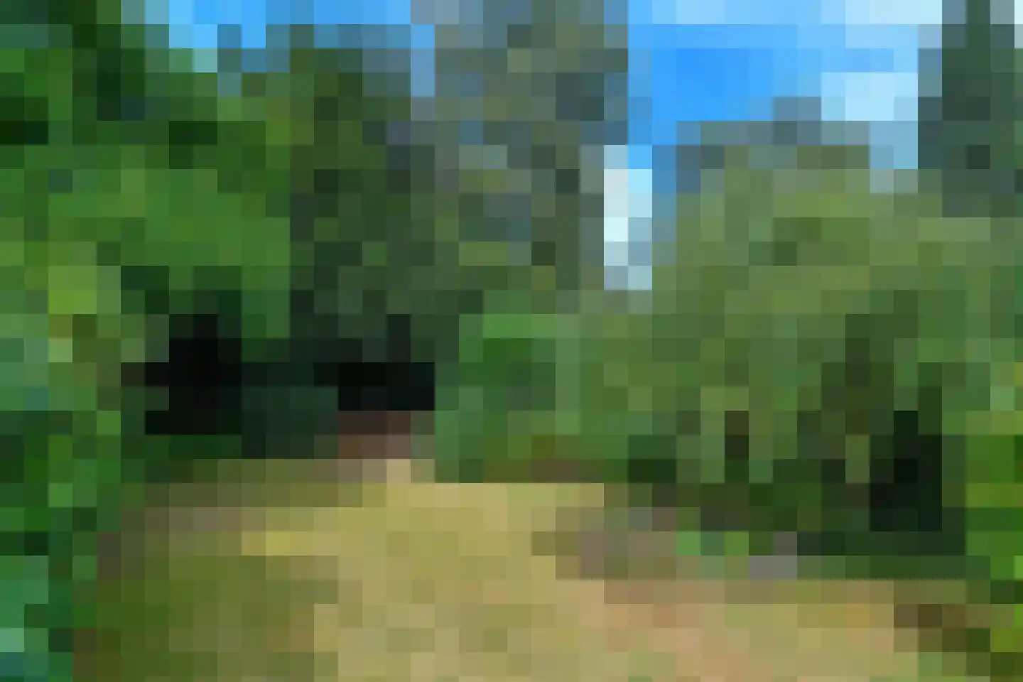 de Ruijterlaan 16 Velp thumbnail 47