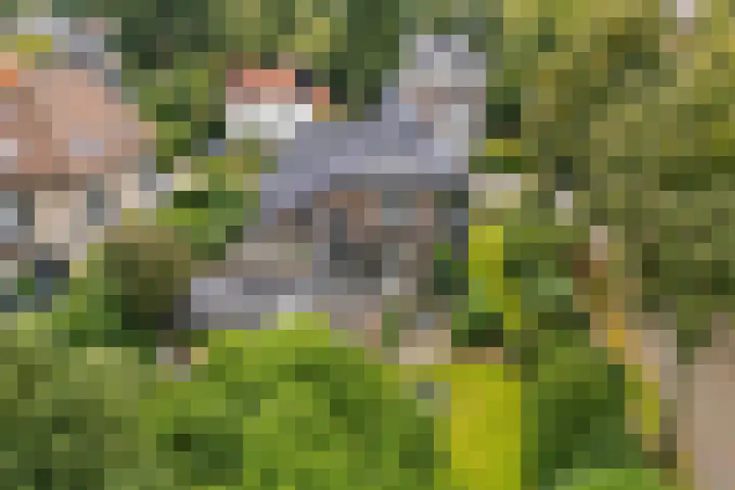 de Ruijterlaan 16 Velp thumbnail 48