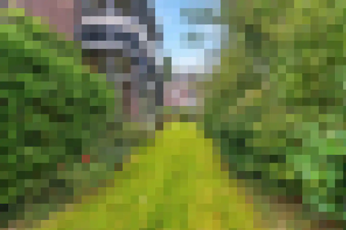 de Ruijterlaan 16 Velp thumbnail 53