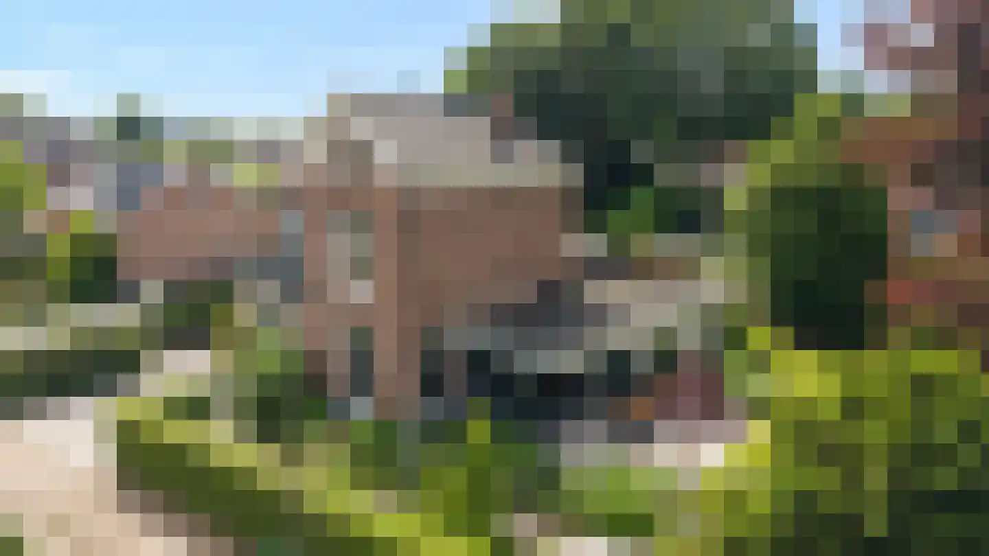 de Ruijterlaan 18 Velp thumbnail 102