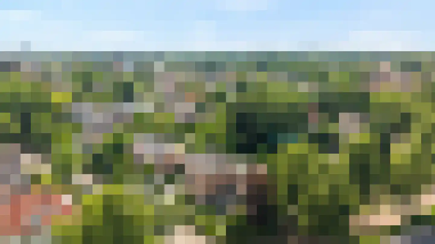 de Ruijterlaan 18 Velp thumbnail 103