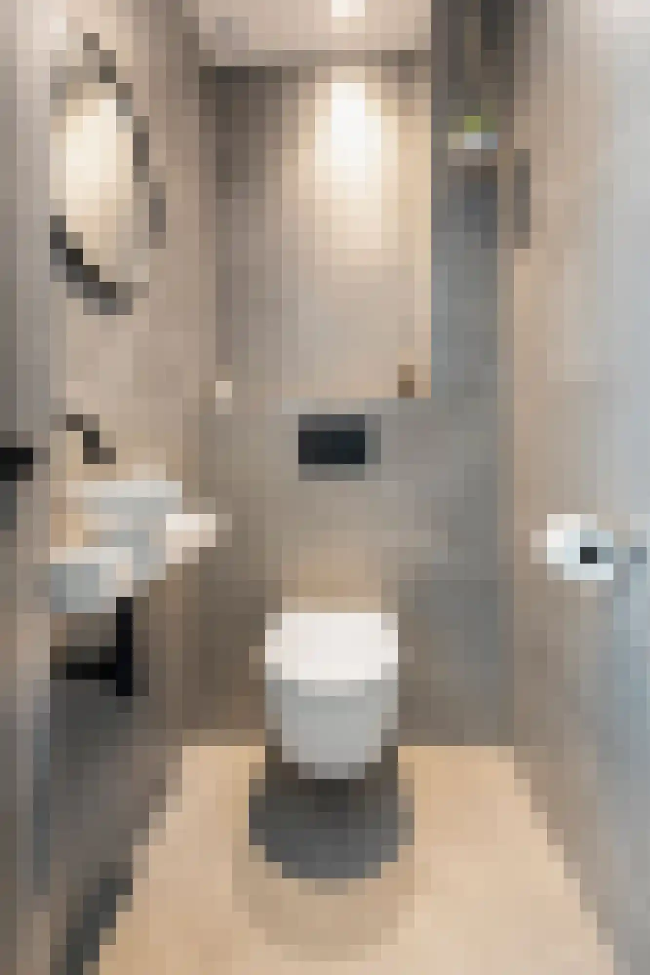 de Ruijterlaan 18 Velp thumbnail 11