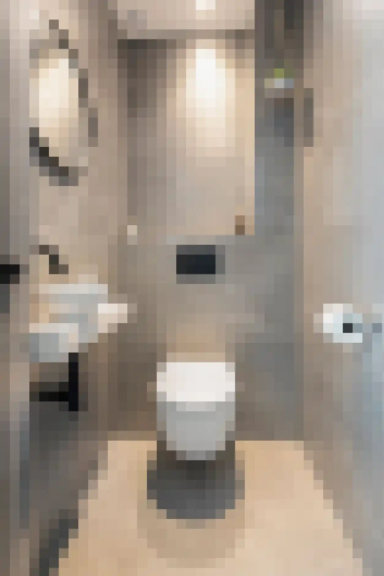 de Ruijterlaan 18 Velp thumbnail 11