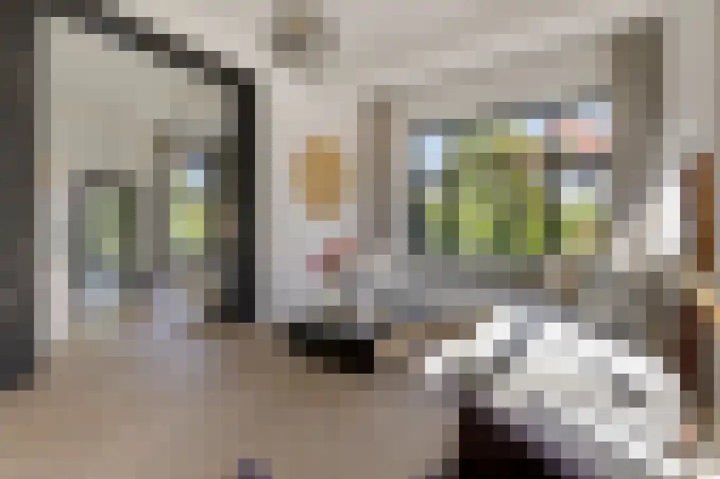 de Ruijterlaan 18 Velp thumbnail 14