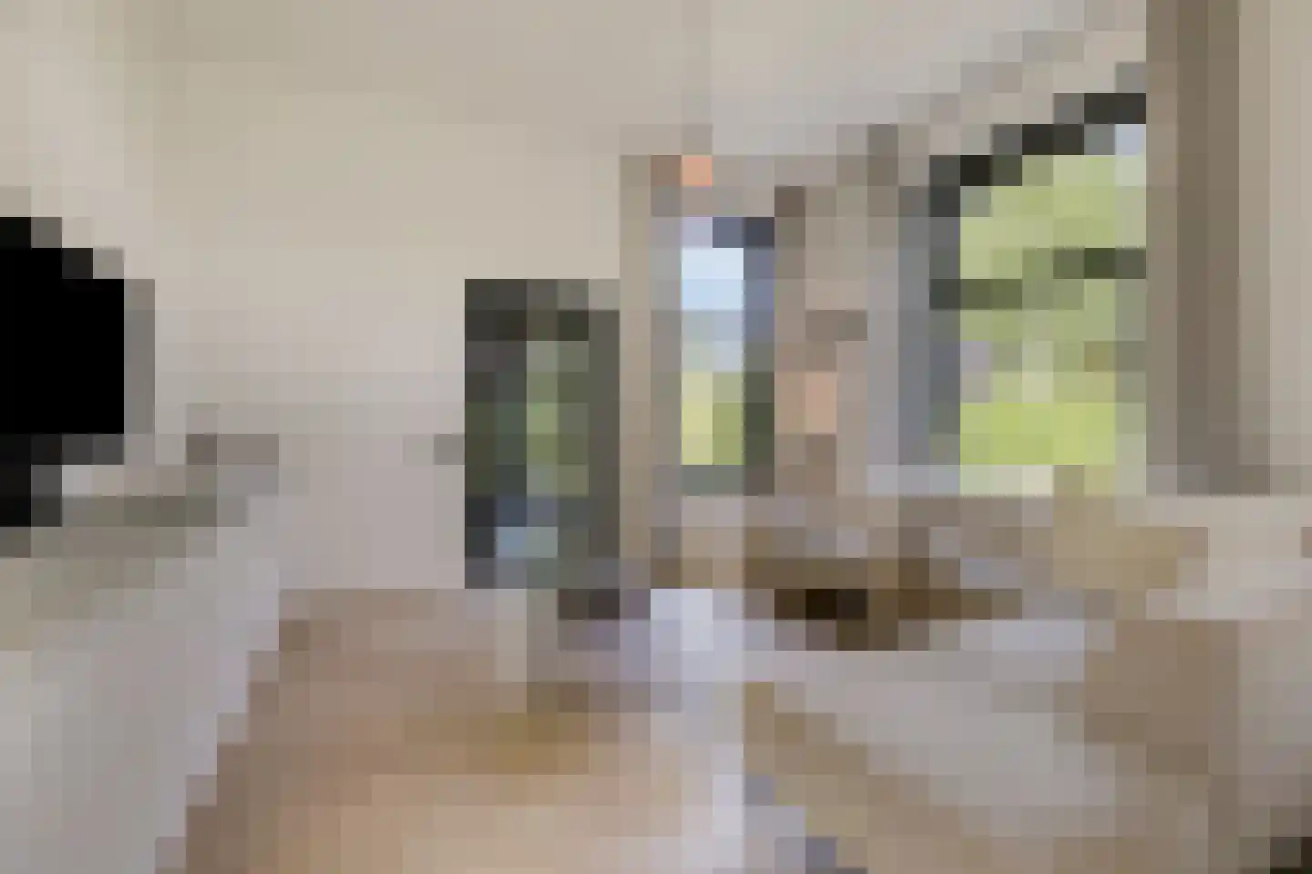 de Ruijterlaan 18 Velp thumbnail 15