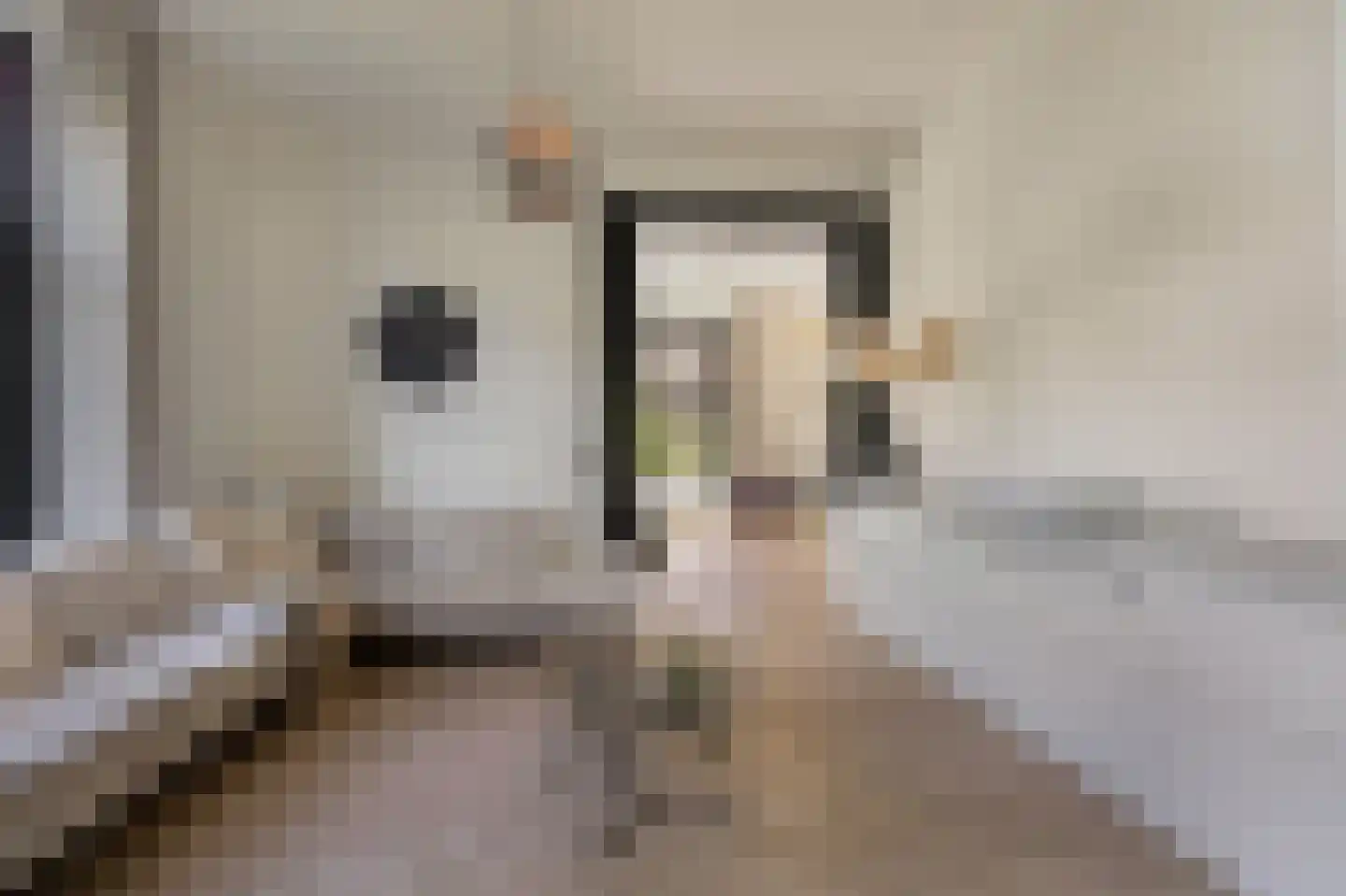 de Ruijterlaan 18 Velp thumbnail 17