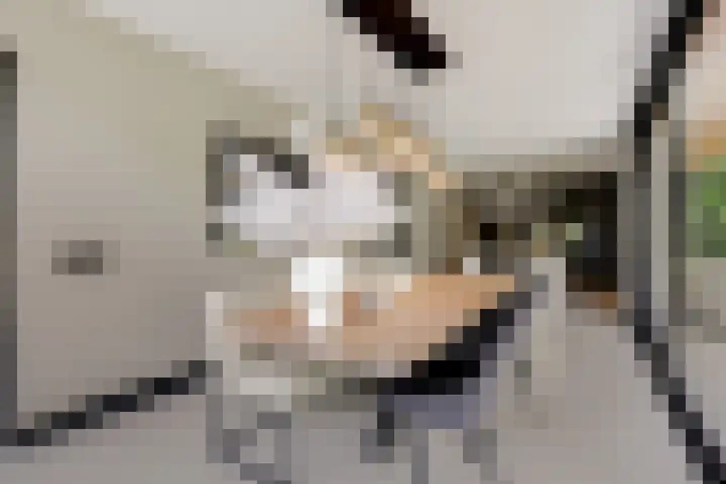 de Ruijterlaan 18 Velp thumbnail 19